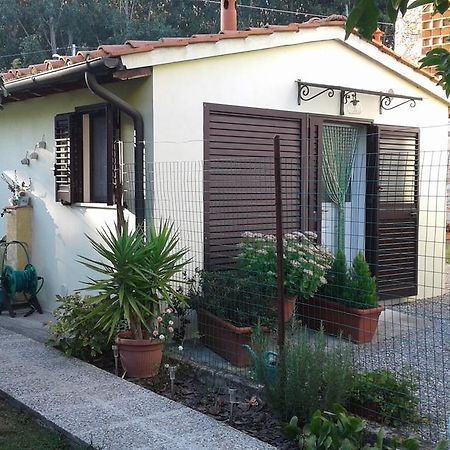 Da Lilly Apartment Lucca Dış mekan fotoğraf