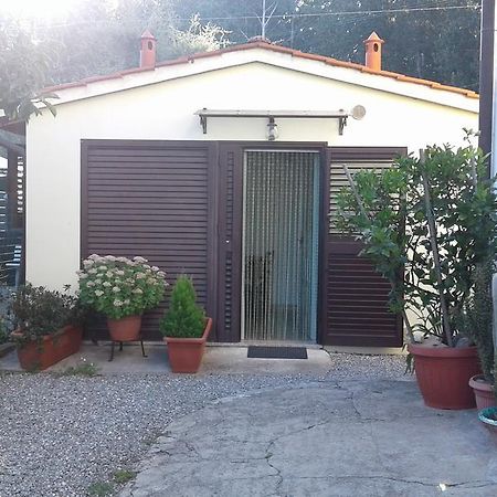 Da Lilly Apartment Lucca Dış mekan fotoğraf